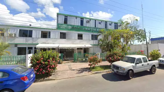 Los empleados de la Semarnat en Chetumal indicaron que la manifestación se realiza a nivel nacional Los empleados de la Semarnat en Chetumal indicaron que la manifestación se realiza a nivel nacional