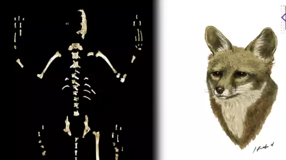 Twitter @UNAM_MX Twitter @UNAM_MX