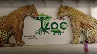 Zoológico de Chetumal se mantiene vivo pese a la contingencia