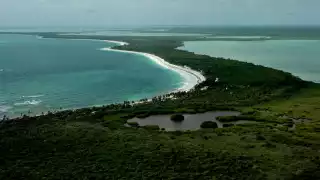 La reserva mantiene a las especies protegidas