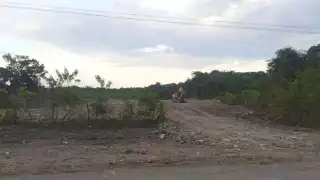 Tren Maya: Decreto de expropiación sin efectos negativos en ejidos de Quintana Roo