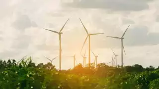  Al menos 30 empresas apalabran inversiones por 3 mil mdd en Yucatán con proyectos de   recursos solares y eólicos  