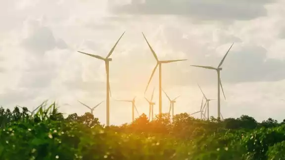 El plan tiene como finalidad hacer del estado un referente nacional e internacional en desarrollo sustentable y energías limpias. El plan tiene como finalidad hacer del estado un referente nacional e internacional en desarrollo sustentable y energías limpias.