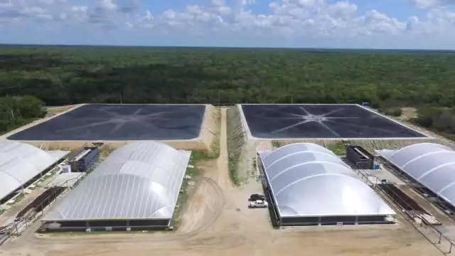 El año con más denuncias sobre las granjas porcícolas fue en 2017