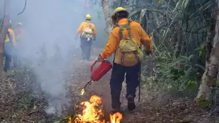 Hasta el momento, 11 incendios han sido controlados