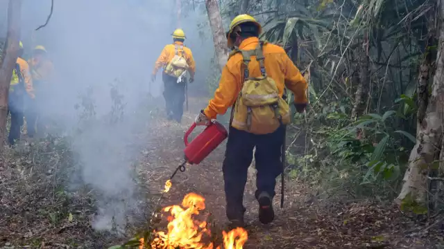 Hasta el momento, 11 incendios han sido controlados