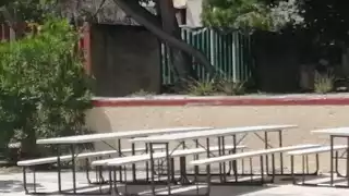 Hoteleros donan mobiliario a escuela de una comunidad en Tulum