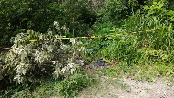 Unas personas que iban a cortar leña encontraron el cuerpo Unas personas que iban a cortar leña encontraron el cuerpo