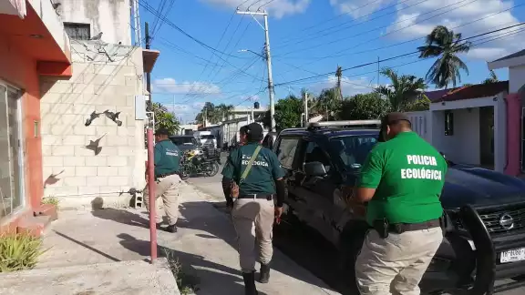 Vecinos pidieron la intervención de la Policía Ecológica de Progreso para las investigaciones Vecinos pidieron la intervención de la Policía Ecológica de Progreso para las investigaciones