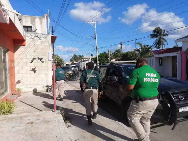 Vecinos pidieron la intervención de la Policía Ecológica de Progreso para las investigaciones