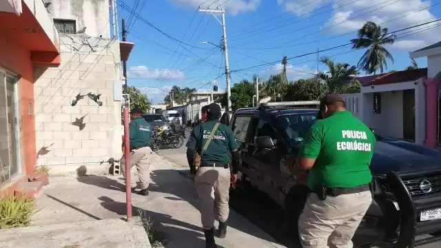 Vecinos pidieron la intervención de la Policía Ecológica de Progreso para las investigaciones