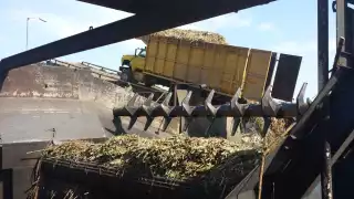 Foto: Octavio Rangel