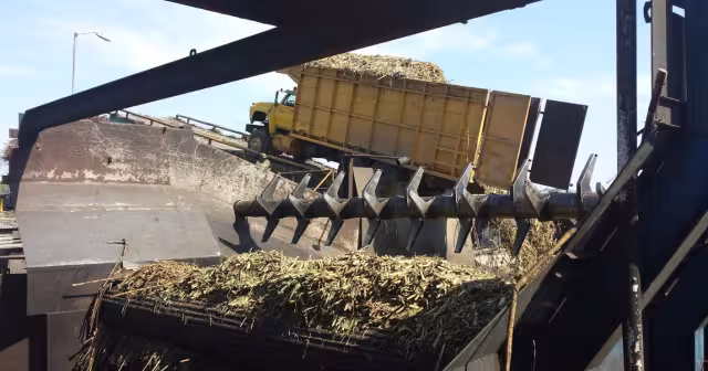 Foto: Octavio Rangel