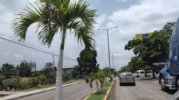 Al empleado del Tren Maya le robaron dinero en efectivo y su celular Al empleado del Tren Maya le robaron dinero en efectivo y su celular