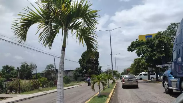 Al empleado del Tren Maya le robaron dinero en efectivo y su celular