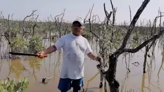 Ejidatarios de Calkiní exigen claridad en pagos de bonos de carbono