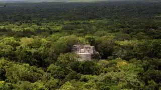 AMLO anuncia ampliación de la Reserva de Calakmul en Campeche