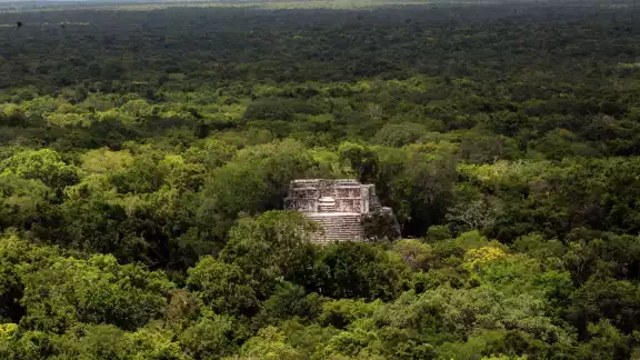 Los supuestos dueños de los predios aparecen dentro de las 723 mil hectáreas que conforman la superficie de la Reserva de Calakmul Los supuestos dueños de los predios aparecen dentro de las 723 mil hectáreas que conforman la superficie de la Reserva de Calakmul