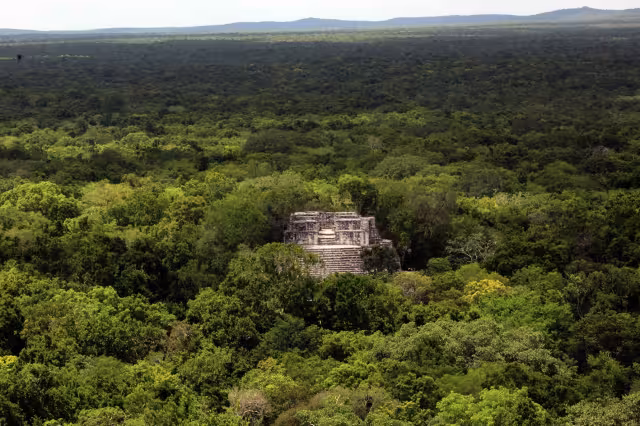 Calakmul es una zona arqueológica Patrimonio Mixto de la Humanidad