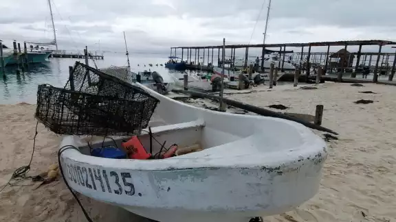 Las afectaciones del Potencial Ciclón Uno se mantienen en las costas de Quintana Roo, según informó el SMN Las afectaciones del Potencial Ciclón Uno se mantienen en las costas de Quintana Roo, según informó el SMN