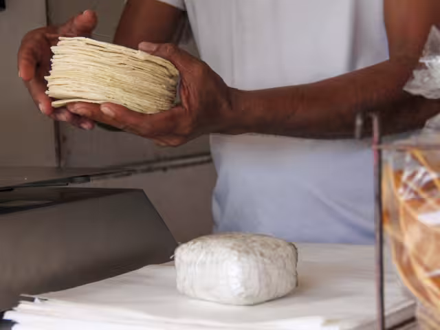 Los productores de Quintana Roo exhortaron a la ciudadanía a que consuman alimentos locales y no importados de Estados Unidos, pues esto les afecta