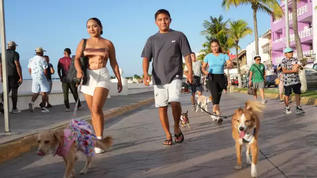 Lo recaudado en el evento será destinado a gastos veterinarios, esterilizaciones y comida