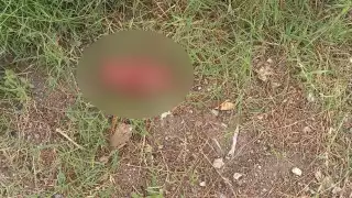 Los vecinos afirman que no sería la primera vez, pues el cuerpo no tenía la piel completa, como si ya fuera experto