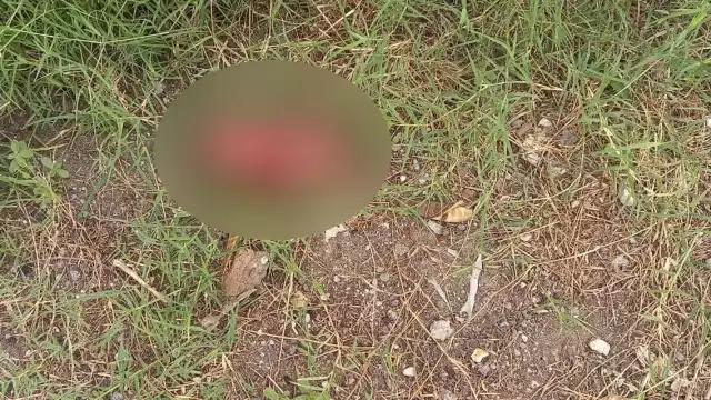 Los vecinos afirman que no sería la primera vez, pues el cuerpo no tenía la piel completa, como si ya fuera experto