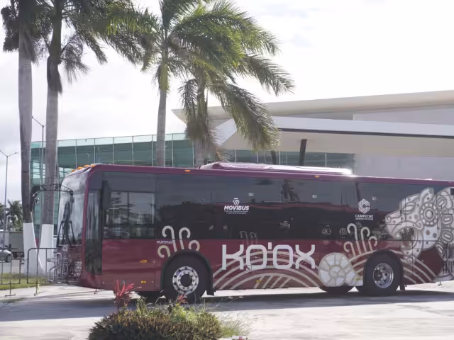 El sistema de cobro de transporte Ko'ox continuará en efectivo hasta que se homologuen las tarjetas