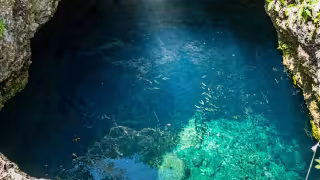 Caída de un alumno en un cenote de la UADY habría sido falsa; Rector aclara lo ocurrido
