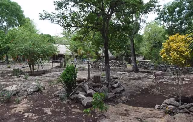 La única vía de acceso fue abierta por los lugareños, quienes con sus propios recursos contrataron maquinaria y compraron sascab.