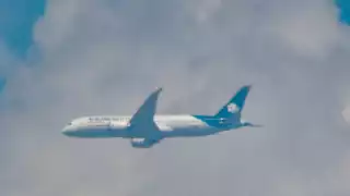 ¿Qué pasa si una mujer embarazada da a luz a bordo de un avión?