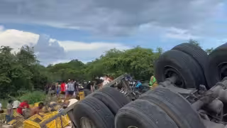 Rapiñan pollos tras volcadura de camión a la altura de Sihochac en Champotón