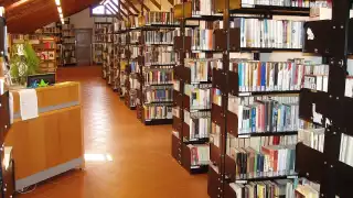 En el Estado de Quintana Roo sólo hay 51 bibliotecas públicas, que están dados de alta a la Red Nacional de la Secretaría de Cultura Federal