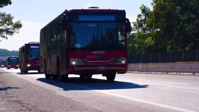 El sistema de transporte Ko'ox comenzará a operar el 1 de febrero
