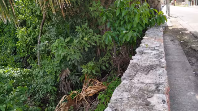 Foto: Facebook María González