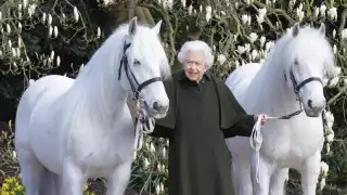 La reina Isabel ll posó en una fotografía con dos caballos blancos, la cual fue usada para felicitar a la monarca en Reino Unido