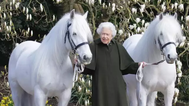 La reina Isabel ll posó en una fotografía con dos caballos blancos, la cual fue usada para felicitar a la monarca en Reino Unido