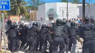 SSP Yucatán colabora con la FGR  por la tala ilegal del manglar en Sisal