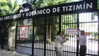 Reabrirá el zoológico La Reina en Tizimín luego de dos meses de su clausura