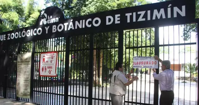 Personal de la Profepa quita los sellos de clausura del parque zoológico de la Ciudad de Reyes