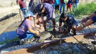 Uno de los casos ocurrió en la zona de Fidel Velázquez y Solidaridad Urbana.