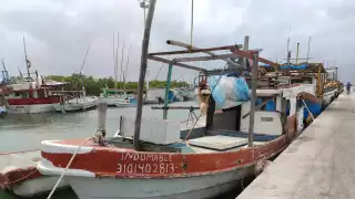 Con  alta expectativa, esperan el inicio de la temporada de captura de langosta en Yucatán