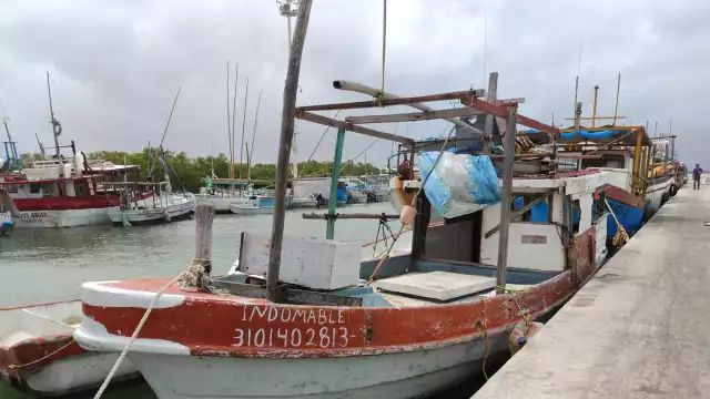 El precio del mero no ha bajado drásticamente, el producto está disponible: informa Canainpesca