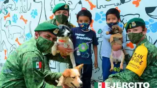 El refugio lleva el nombre de “Los Perritos de Santa Lucia”