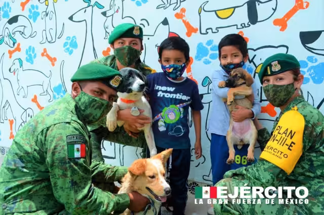 El refugio lleva el nombre de “Los Perritos de Santa Lucia”