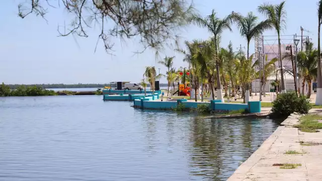 El estudio ambiental fue pagado por el Gobierno del Estado a un consultor privado desde 2018