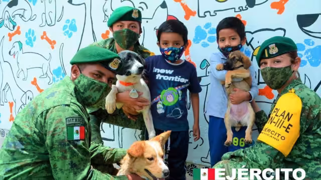 El refugio lleva el nombre de “Los Perritos de Santa Lucia”