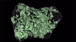 Asteroide Bennu: científicos descubren compuestos clave sobre el origen del sistema solar