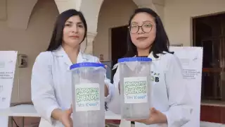 La liberación de insectos con la bacteria Wolbachia reduce hasta un 70% los casos de dengue